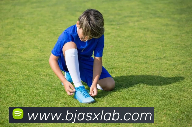 买球网站APP 封面图